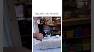 Que fofinho #memes #humor #viral