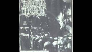 Brutal Truth - The Shah Sleeps in Lee Harvey&#39;s Grave (Butthole Surfers cover)