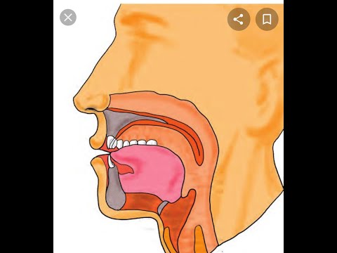 Tilavette Dudak talimi