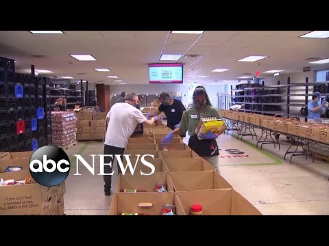 Long food lines become the new normal across US