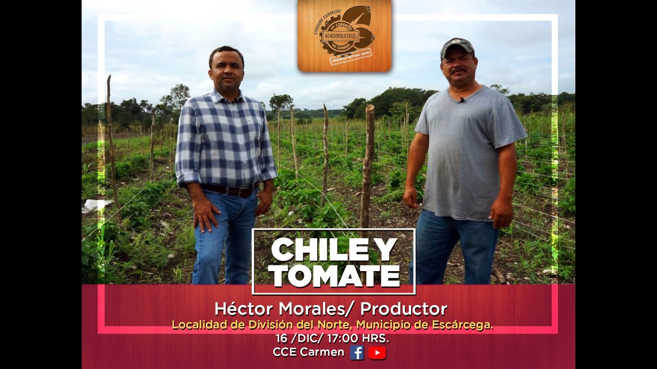 Producción de Tomates y Chile