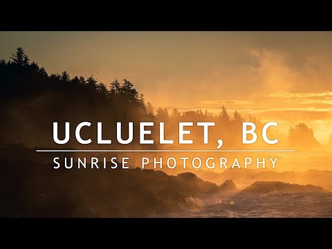 SO MANY Photo Opportunities! Sunrise photography in Ucluelet