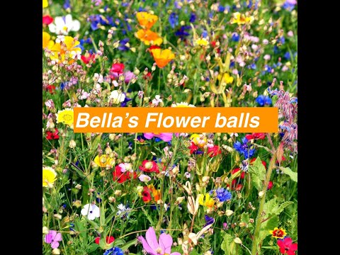 Bella's Flower balls