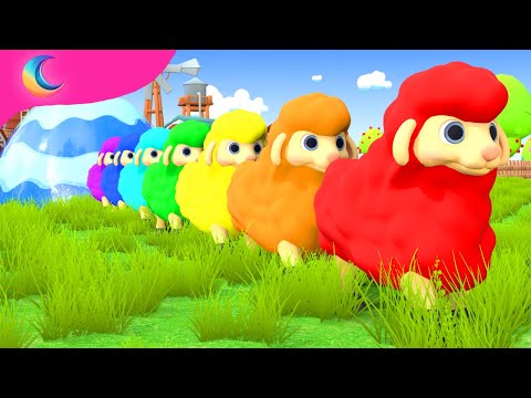 Baa Baa Black Sheep! | BluLoo Nursery Rhymes & Kids Songs