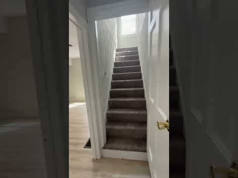 1518 Udell St - $1299/mo. property video