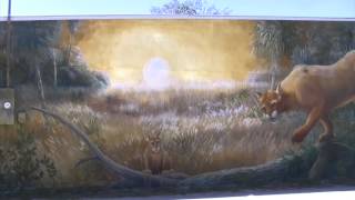 preview picture of video 'A look @ some of the murals in Lake Placid, FL. (Part 4)'