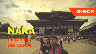 preview picture of video 'Nara: La Città dei Cervi'