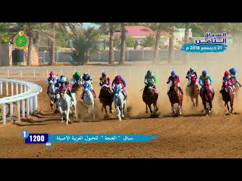 الشوط الأول - السباق الثامن - الرحبة 21/12/2018 Race 1-8th meeting