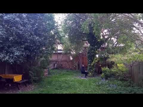 Diego Xavier - Clarear (Visualizer)