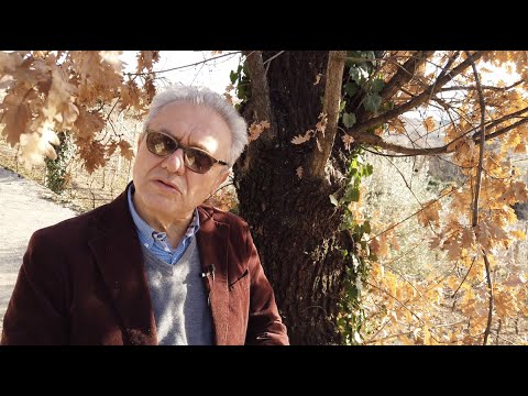 I benefici della corteccia di Quercia