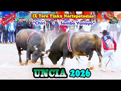 X Toro Tinku Norte Potosino UNCIA 2026 Encuentro:"Sambo Yanayo-Chiri". (Video Oficial) de ALPRO BO.