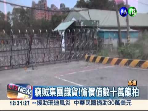 黑心賊牟暴利 偷龍柏做聚寶盆!