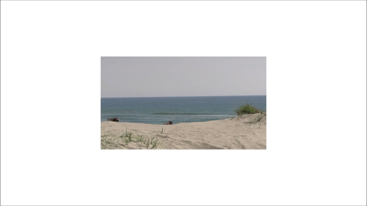 パソコン音楽クラブ - 海鳴り