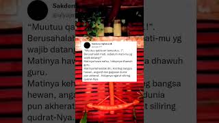 Download lagu Muutuu qabla an tamuutuu #shorts mp3 Download lagu Muutuu qabla an tamuutuu #shorts mp3