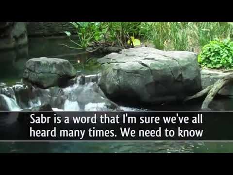 The Real Definition Of Sabar (Patience) Amazing Reminder By Mufti Menk