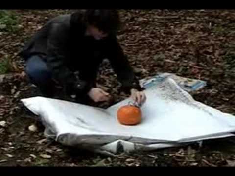 A day in the life of Black Attack