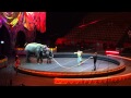 Ringling Brothers Circus 1