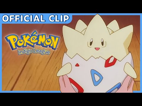 Togepi Hatches! | Pokémon: Indigo League | Official Clip