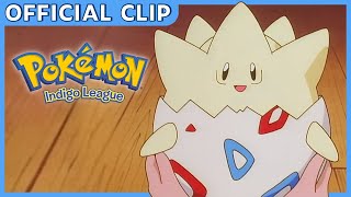 Togepi Hatches! | Pokémon: Indigo League | Official Clip by The Official Pokémon Channel