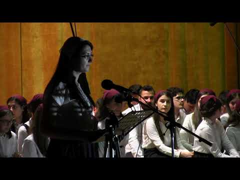 Elena Aurică - Am fost clopot de furtună (poezie)