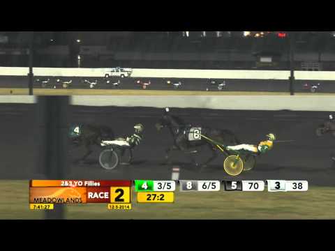 Meadowlands December 5, 2014 - Race 2 - Witch Dali