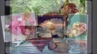 michael grimm these arms of mine