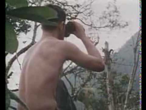 BROTHER IN ARMS vietnam war music video