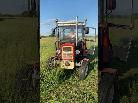 Ursus c-330 & Agrostar AMD 135 🚜💁🏼‍♀️ #ursus #rolnictwo #rolnik #mulczer