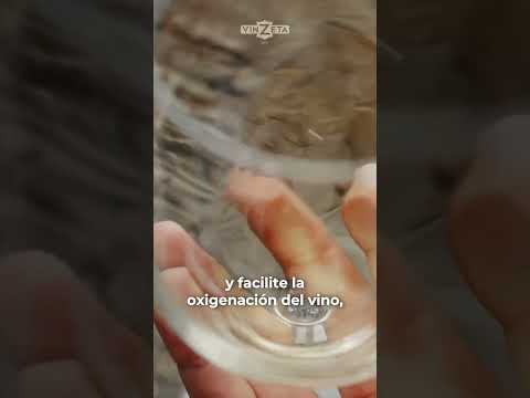 Video relacionado