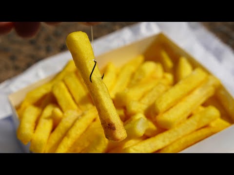 Harbour Fishing With The New Best Bait!?!