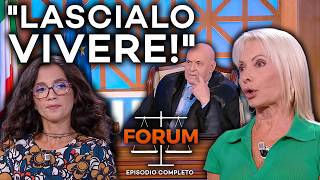 La sorella lo tiene PRIGIONIERO per una promessa alla madre! ⚖️ | Foru
