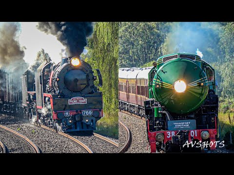 3801 , R766 AND 5917 Australian Steam Locomotives at Speed through Douglas Park | #Picnictrain