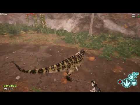 1v2 Prime Cera vs Adult Cera