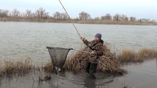 Ссылка