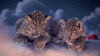 Bonnie Tyler -  Merry Chrismas