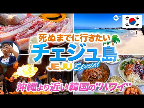 [Ilha de Jeju 🇰🇷 Gourmet 2 noites 3 dias de viagem] Coreano “Havaí”