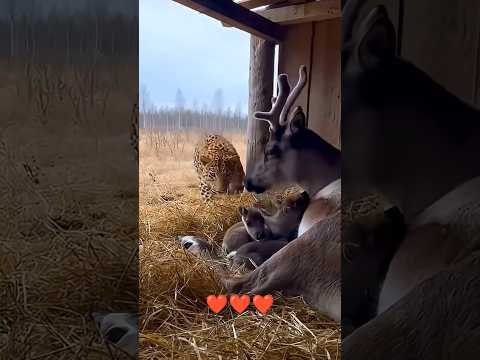 Rab na Kare yah jindagi kabhi kisi#youtubeshorts #shortsviral