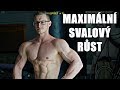 3 ZÁKLADNÍ POŽADAVKY PRO MAXIMÁLNÍ SVALOVÝ RŮST