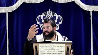 דף היומי עבודה זרה דף נ"א ע"א ¤ הרב נתנאל אברז'ל ¤ בית הכנסת "בית מרדכי" (מוסדות תורת דוד) - התמונה מוצגת ישירות מתוך אתר האינטרנט יוטיוב. זכויות היוצרים בתמונה שייכות ליוצרה. קישור קרדיט למקור התוכן נמצא בתוך דף הסרטון דף היומי עבודה זרה דף נ"א ע"א ¤ הרב נתנאל אברז'ל ¤ בית הכנסת "בית מרדכי" (מוסדות תורת דוד) - התמונה מוצגת ישירות מתוך אתר האינטרנט יוטיוב. זכויות היוצרים בתמונה שייכות ליוצרה. קישור קרדיט למקור התוכן נמצא בתוך דף הסרטון