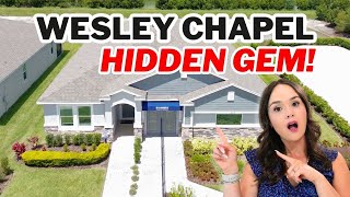 This MULTI-GEN home near Tampa is a Game-Changer! Hidden gem community [Wesley Chapel, FL]