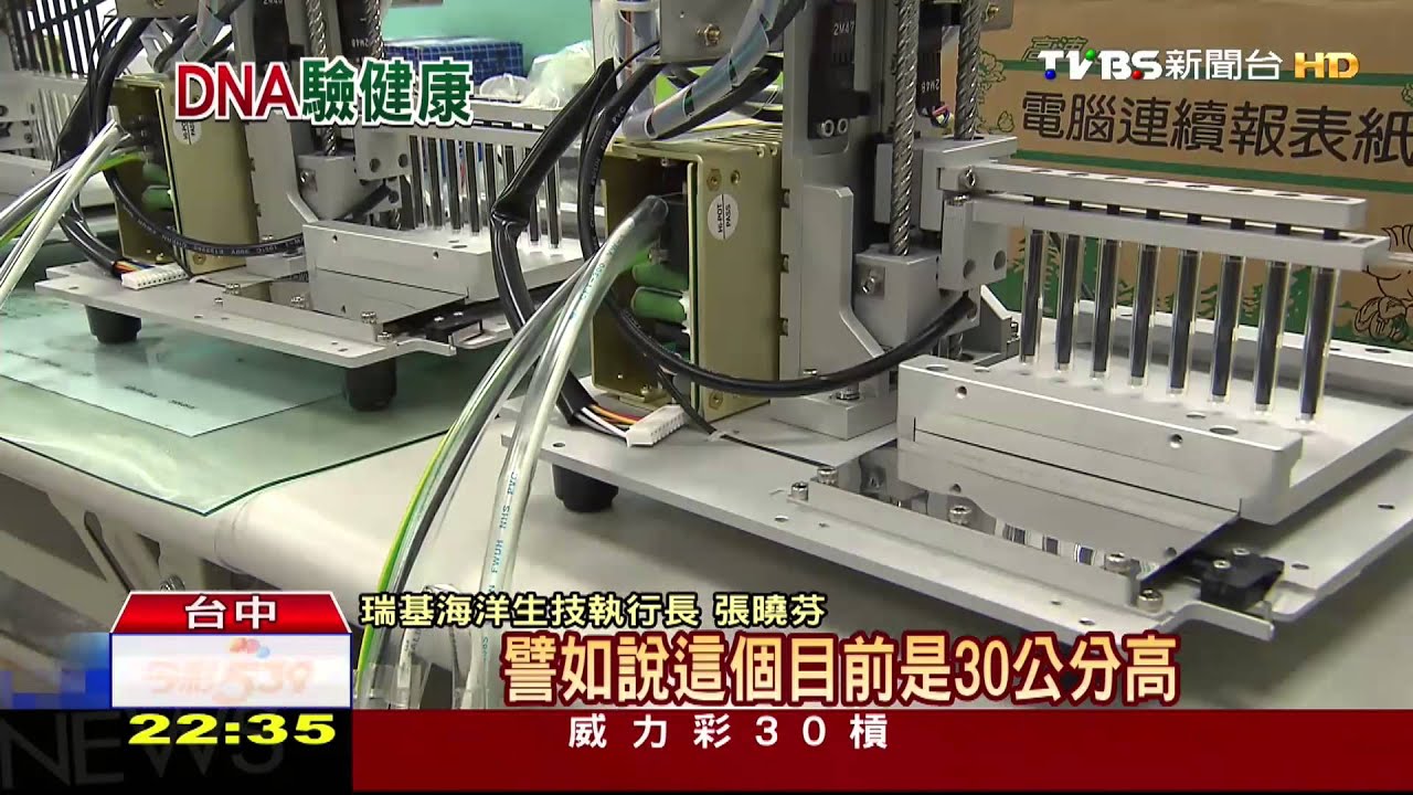 掌全球7成蝦健康！　碩士團隊研發DNA試劑