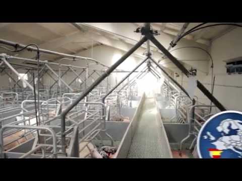 SKOV LPV-Ventilation for Pigs Dutch version