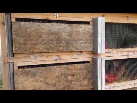 comment construire clapier