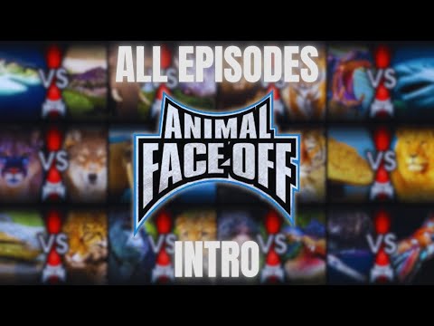 Animal Face Off [2004] | All Episodes Intro