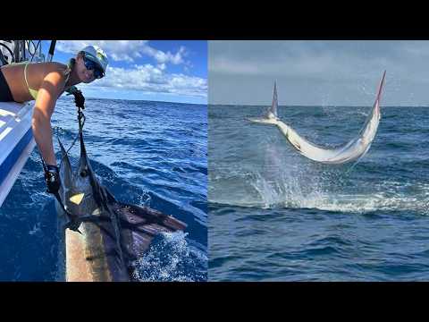 How to Live Bait for Marlin | Fishing AUSTRALIA East Coast