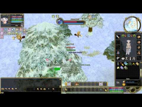 Insanity Flyff E33 - Arcanist lvl 1 - 105