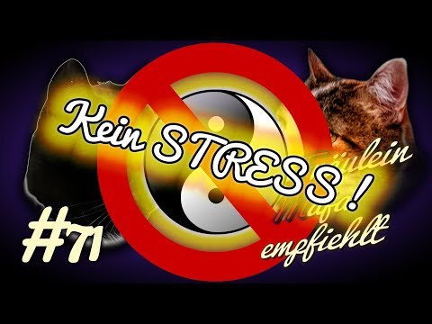 Schmerz unterhalb der Taille zu welchem Arzt zu adressieren Titan Kiefergelenk
