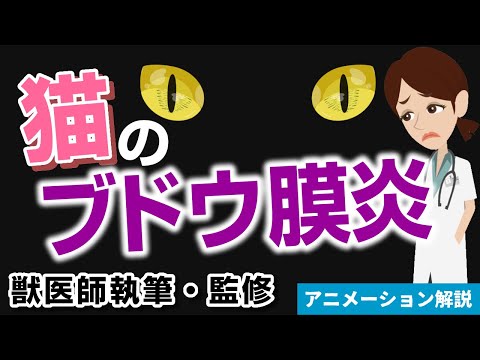 猫のぶどう膜炎 – 原因と治療法