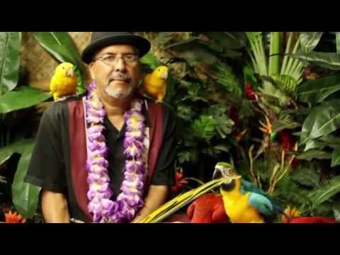 Remembering Freddy - R.I.P