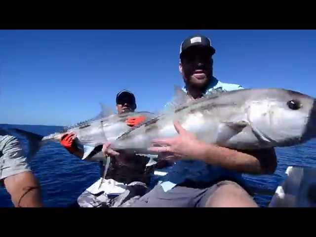 Shikari Charters - Cooloongup, WA